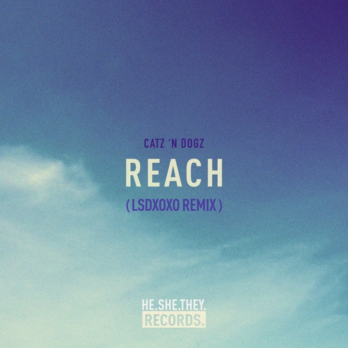 Catz 'n Dogz - Reach (LSDXOXO Remix) [HST029R]